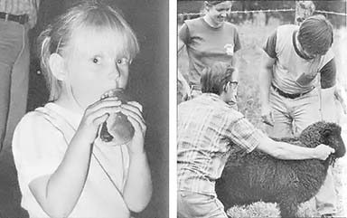 LEFT: The fair's wiener roasts offer Shiloh Farms' preservative-free hot dogs. RIGHT: Randy Kidd will tell you how to raise backyard livestock.